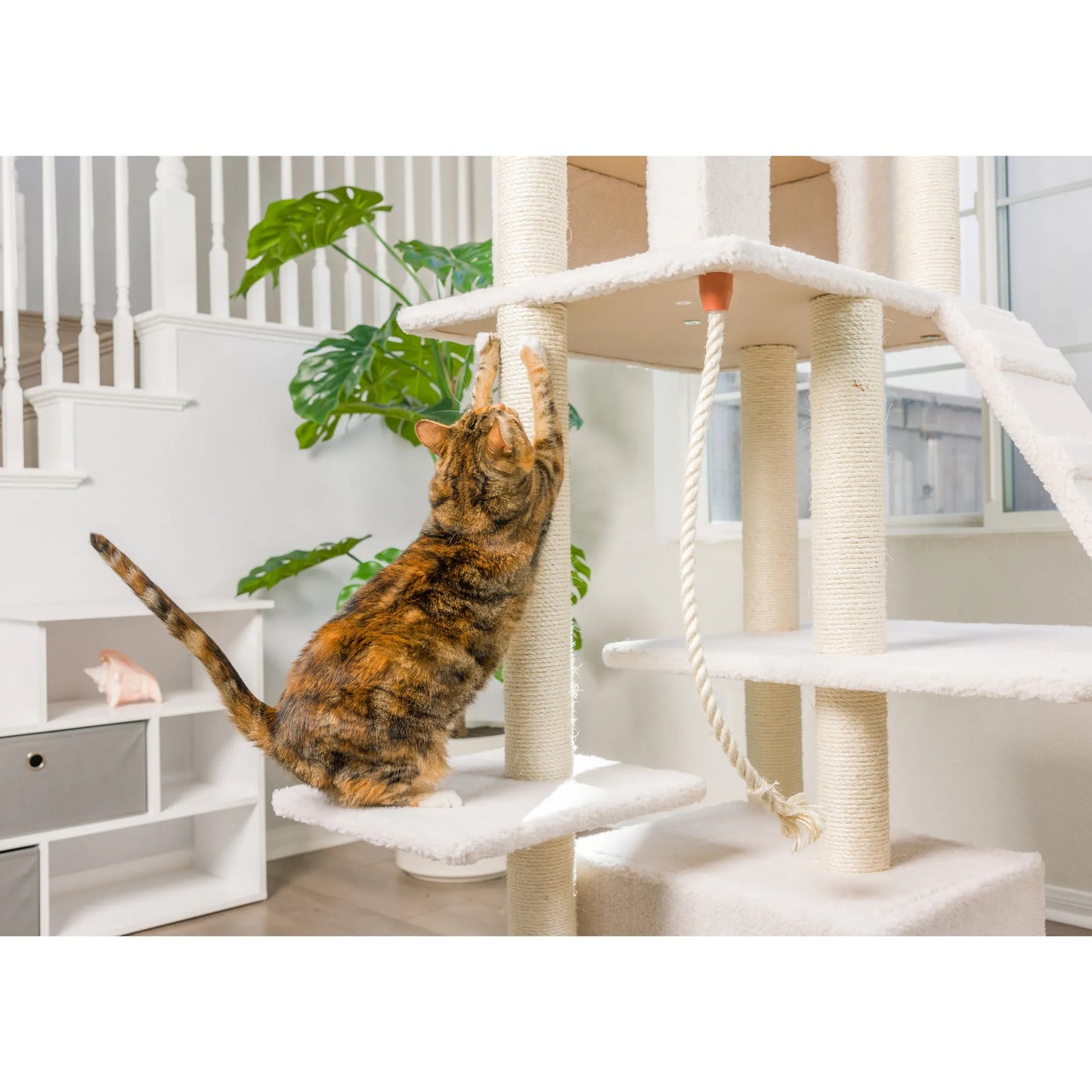 Real Wood B8201 Classic Ivory Cat Tree Multi Levels W Ramp