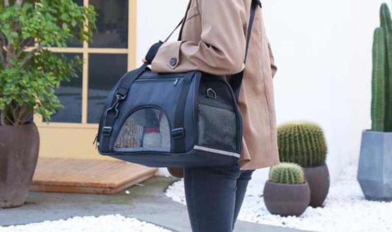 Premium Transparent Pet Travel Backpack