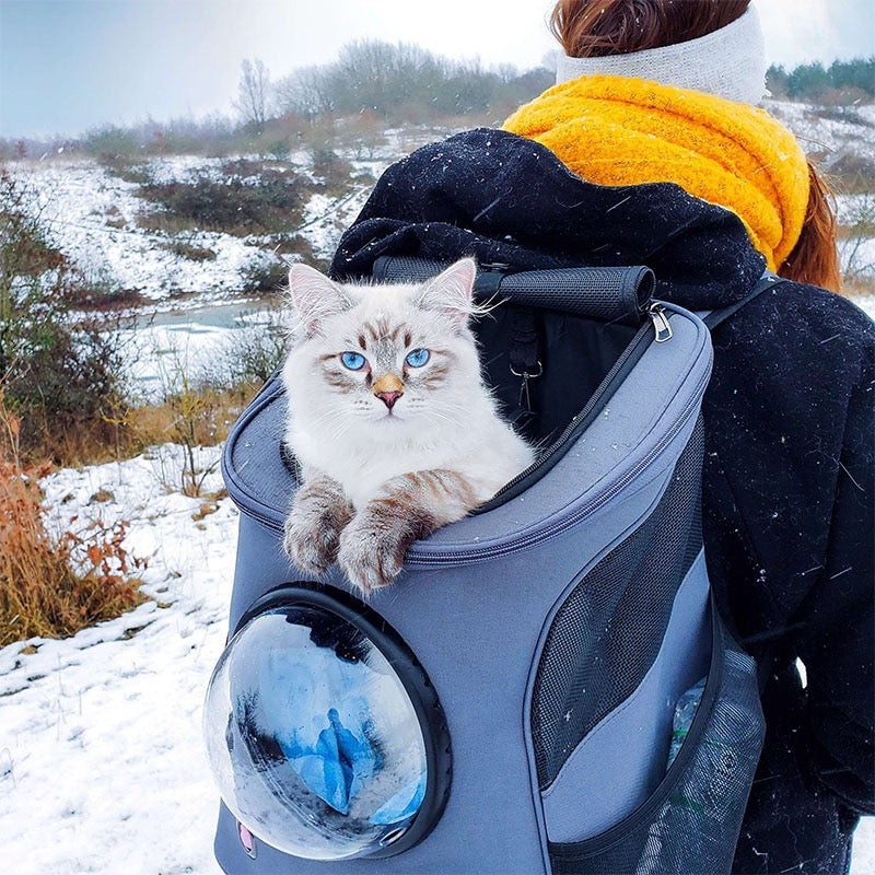 Charming Capsule Pet Travel Backpack