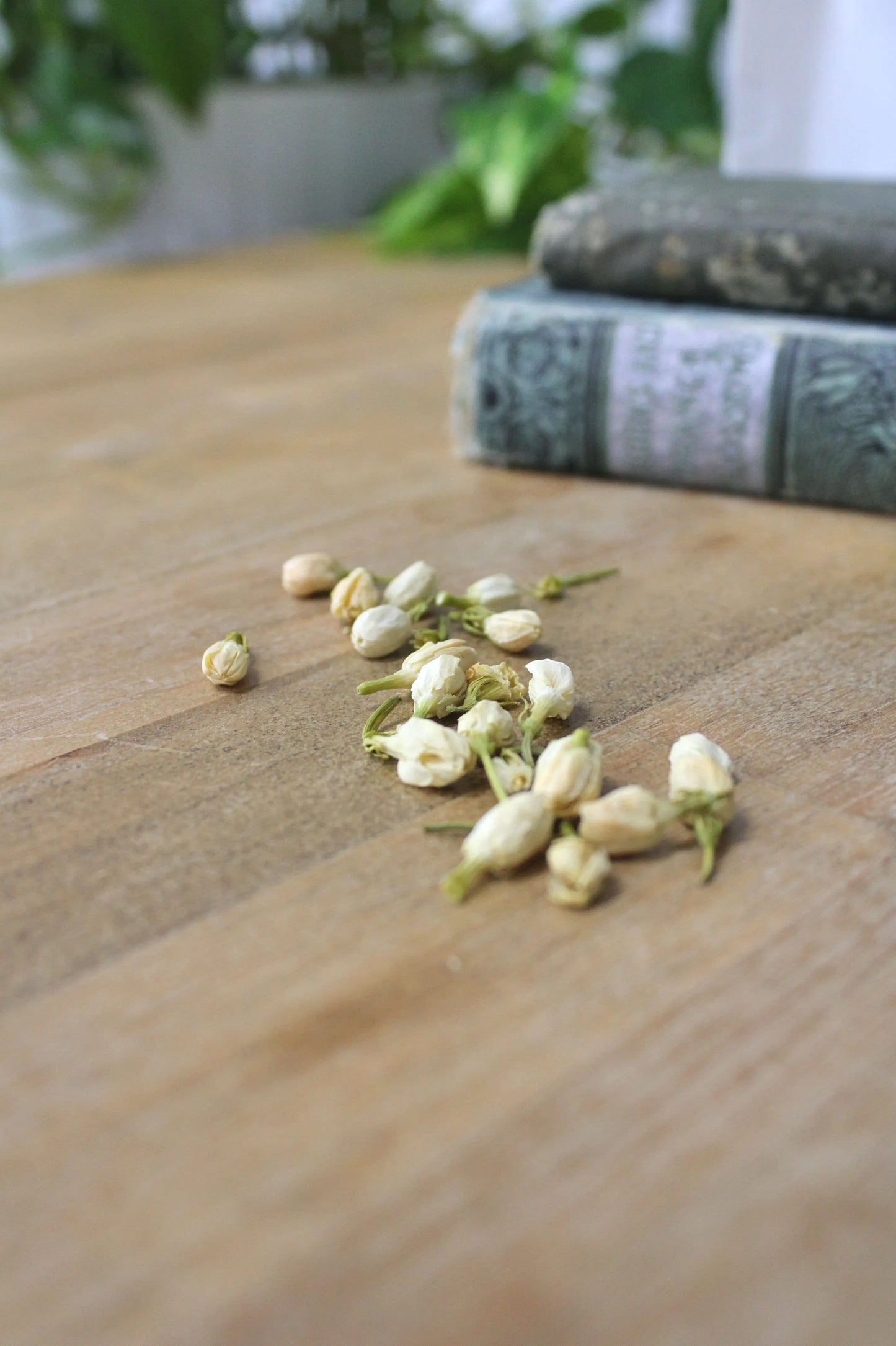 Organic Chinese White Jasmine - Whole Flower
