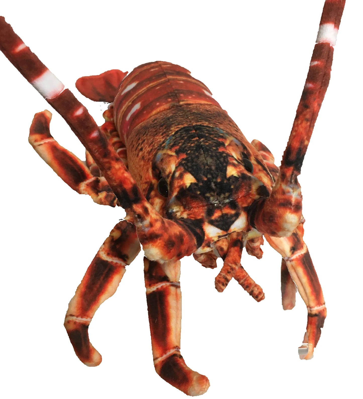 Crawfish Lobster 12.5" Plush Aquatic Stuffed Animal