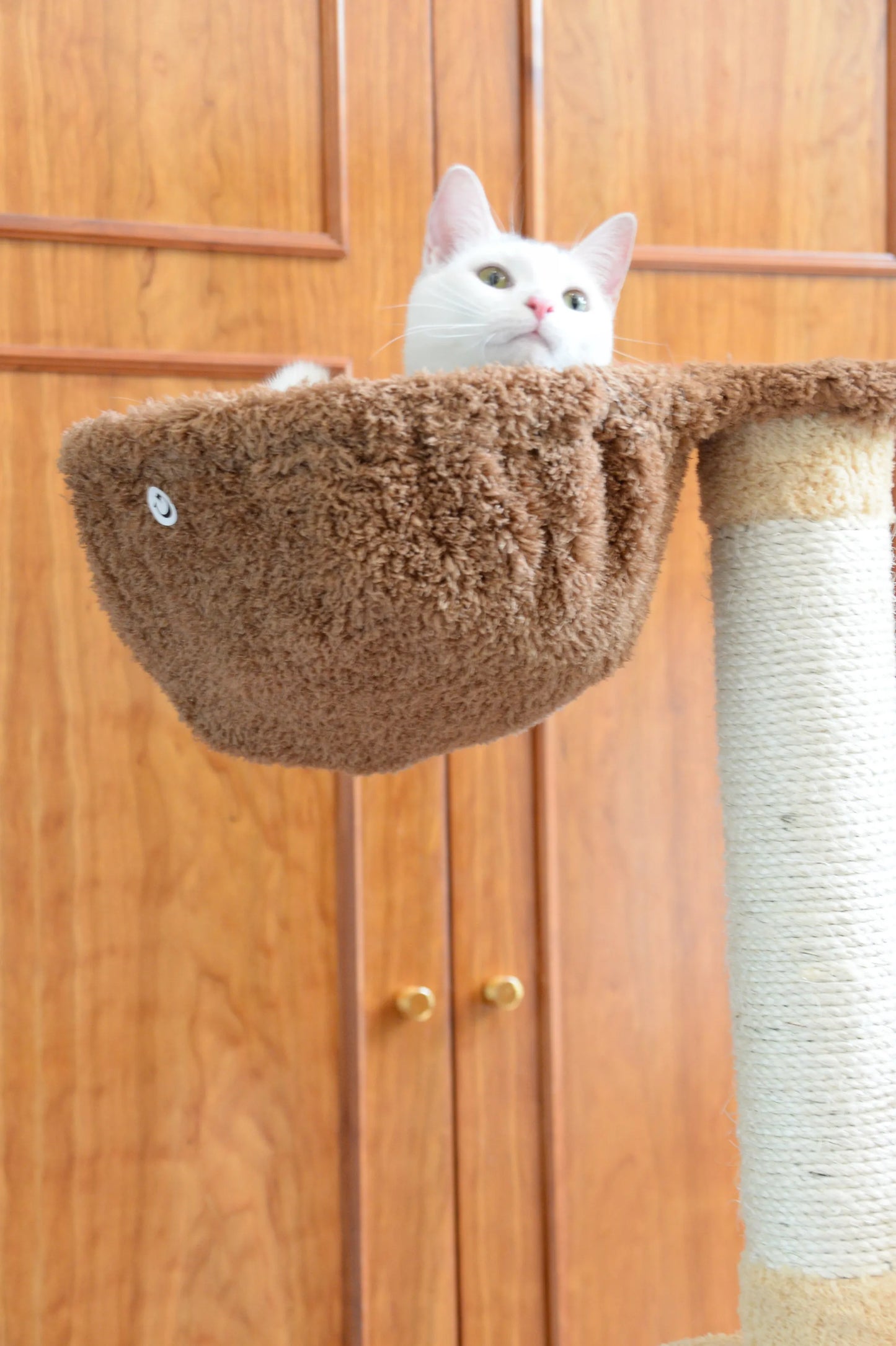 Armarkat Cat Climber Play House, 78" Real Wood Cat furniture