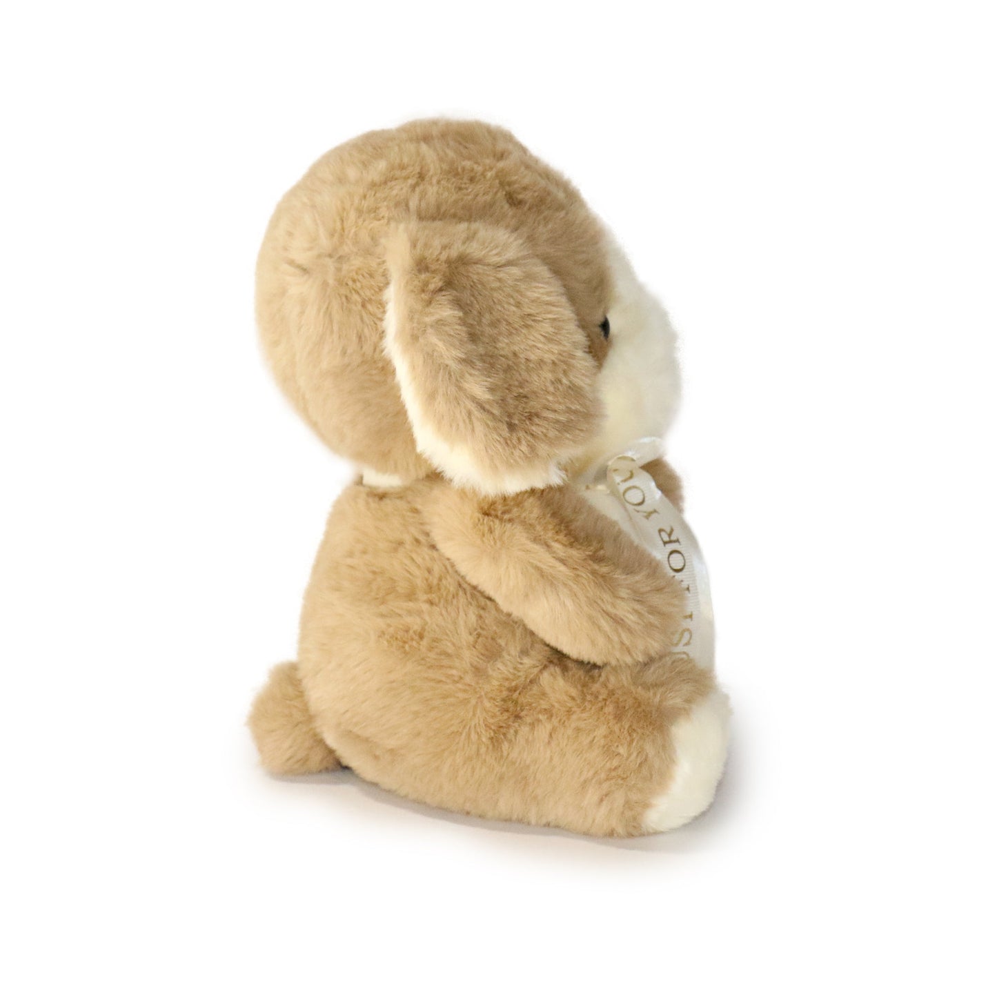 Just For You Dog: A Plush Toy Made to Make Someone Feel Special-2