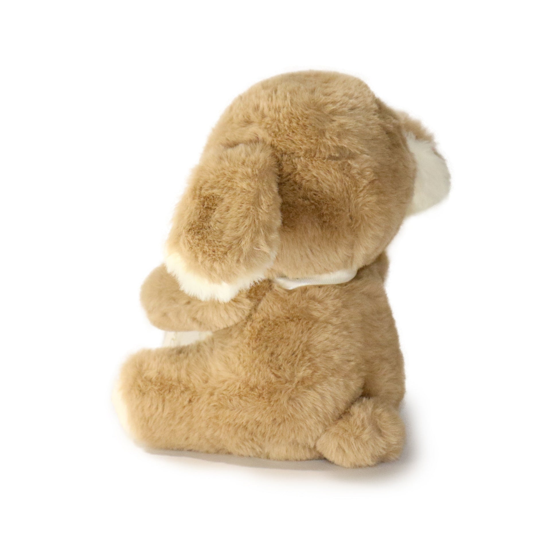 Just For You Dog: A Plush Toy Made to Make Someone Feel Special-3