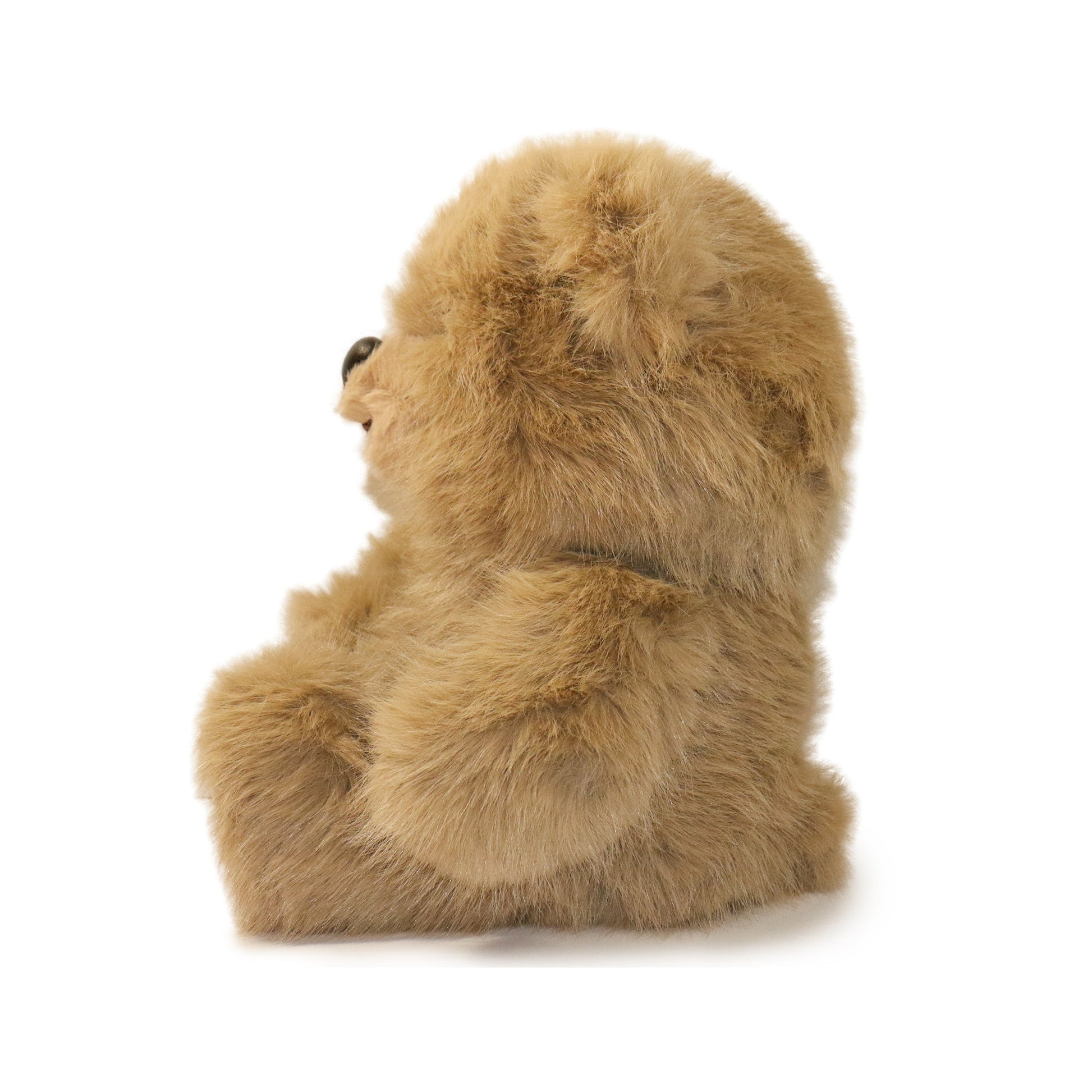 Honeywood Bear: A Plush Toy for Caregivers, Nurturers, and Comfort Givers-2