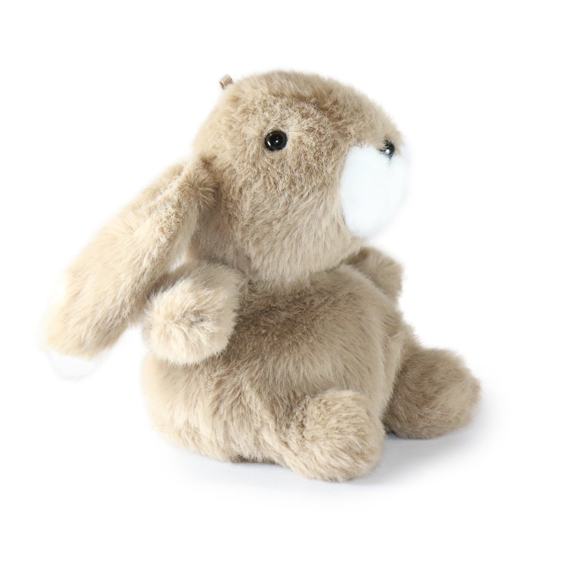 Benny Bunny: A Soft Push Toy for Minimalists, Decor Lovers, and Calm Spaces-0