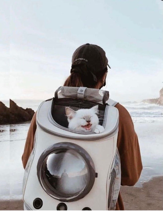 Charming Capsule Pet Travel Backpack