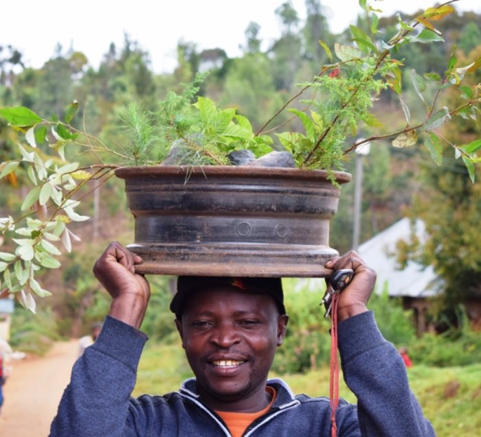 Congratulations Tree, We Plant 10 More Trees-2